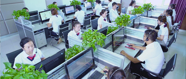 1579421772132271.png 1.png